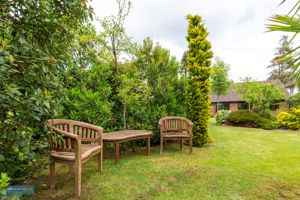 Garden- click for photo gallery